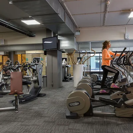 Leonardo Babylon Haia