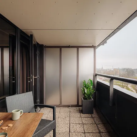 Leonardo Babylon Haia